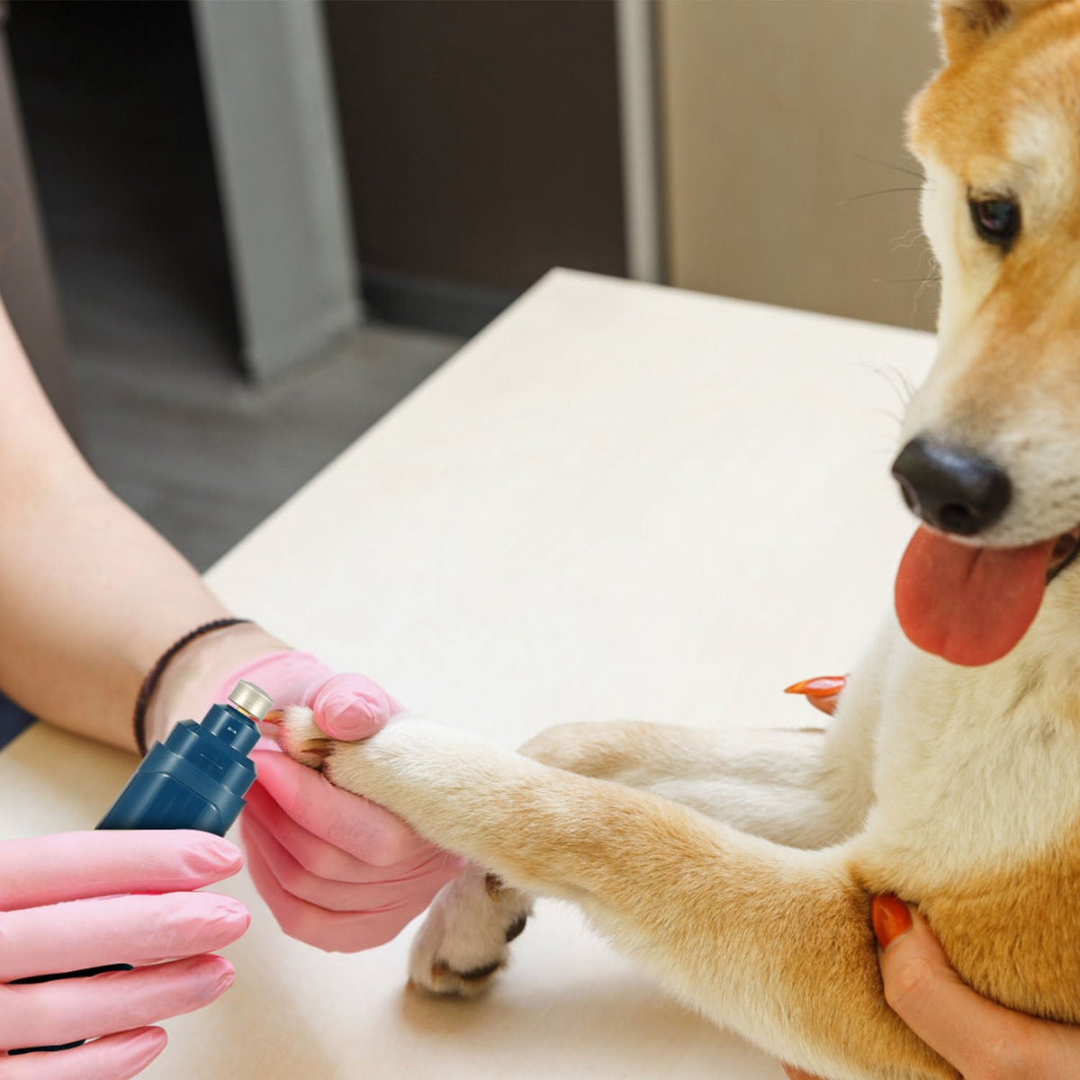 Zetagix Quiet Dog Nail Grinder