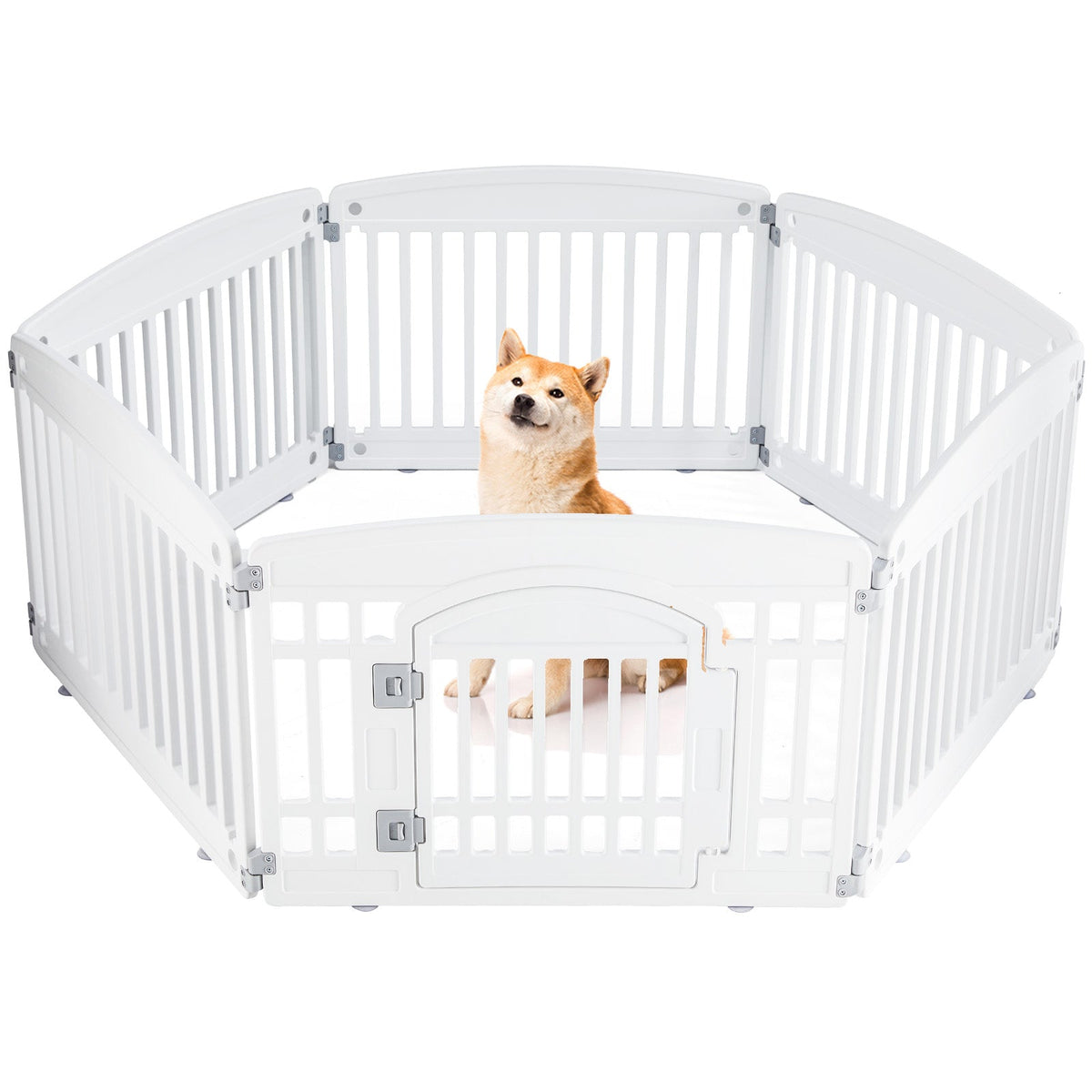 Dog inside a white pet playpen on a white background