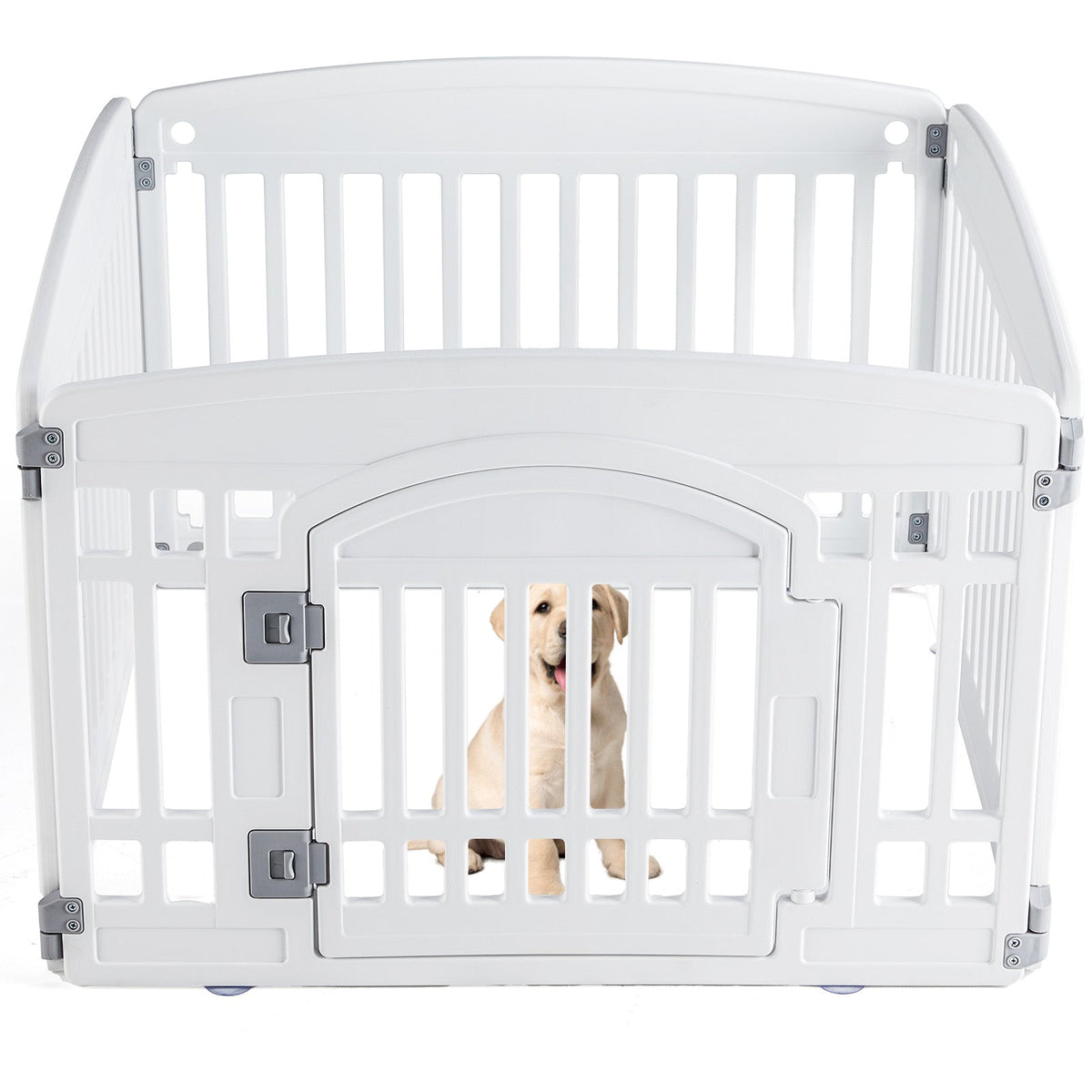 White pet playpen with a puppy inside on a white background